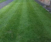 Ground Maintenance Service